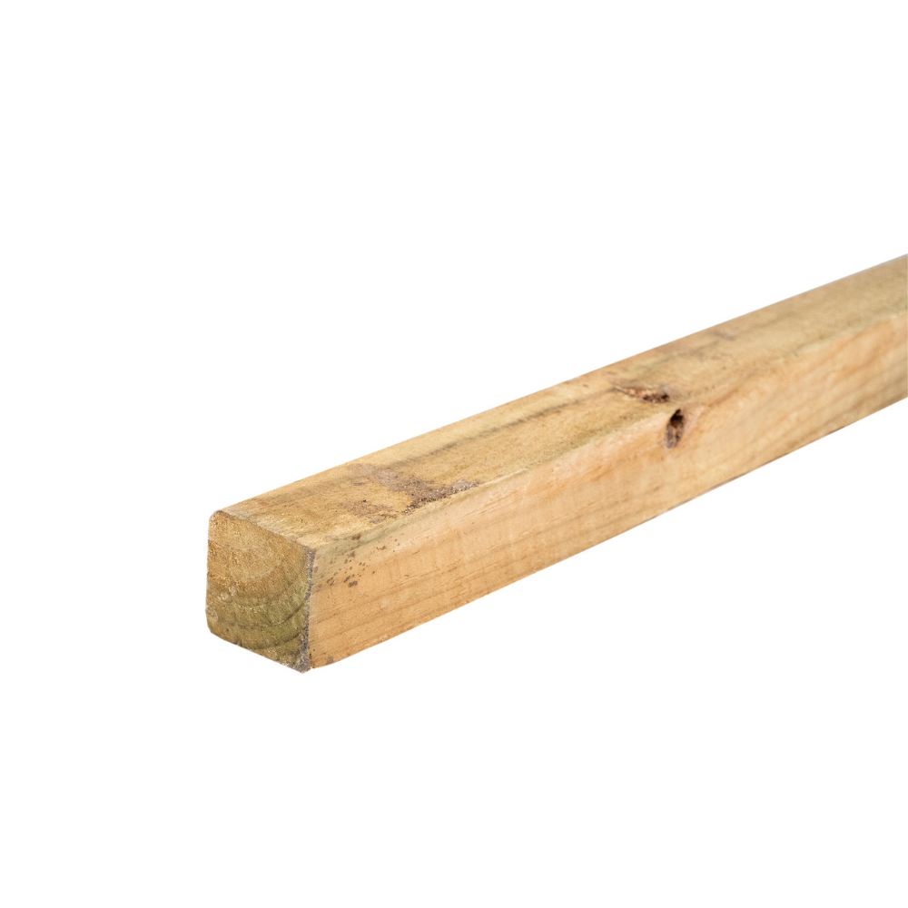 Pino Cuarton 3,2 m